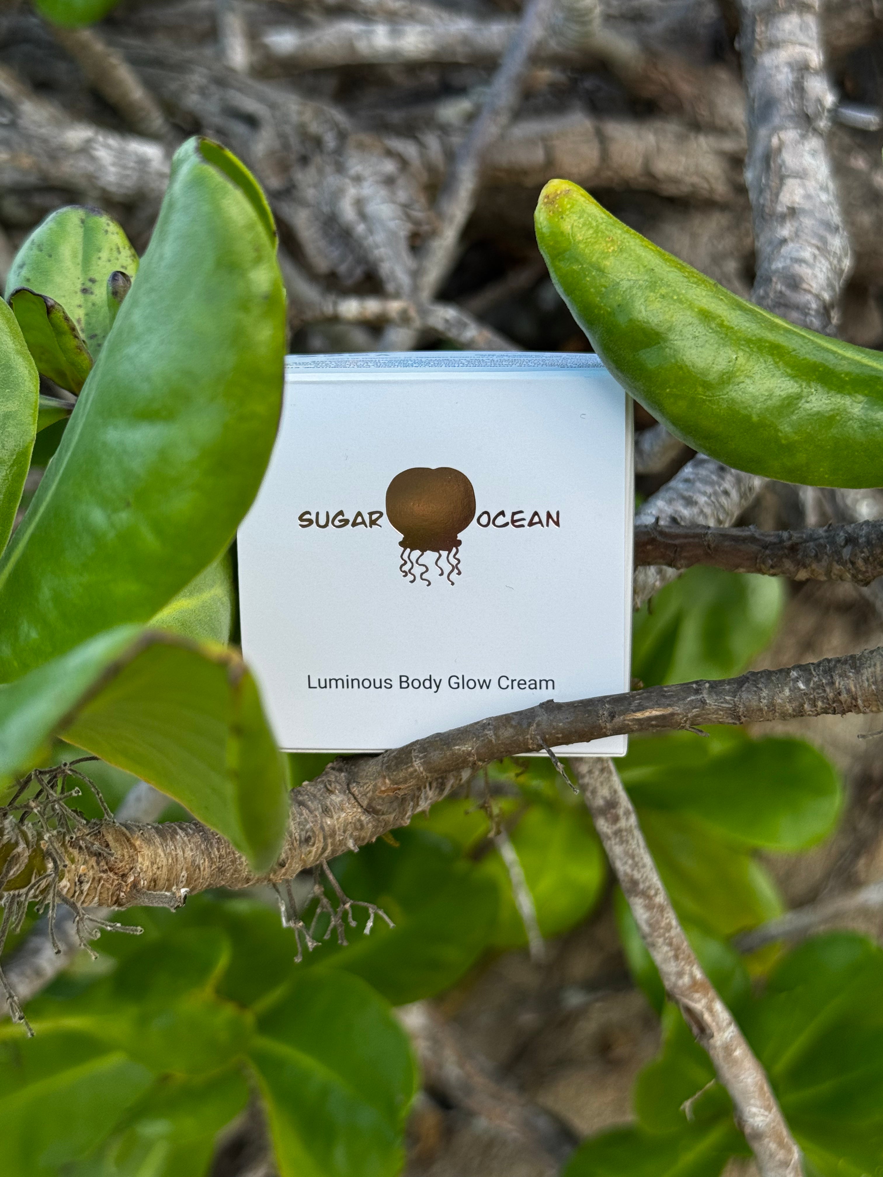 White packaging for 'Sugar Ocean' Luminous Body Glow Cream on a natural background with green leaves.